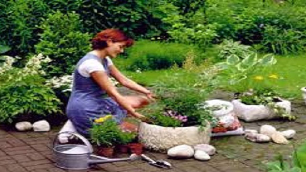 Green Hand Tree Surgery Clean Up