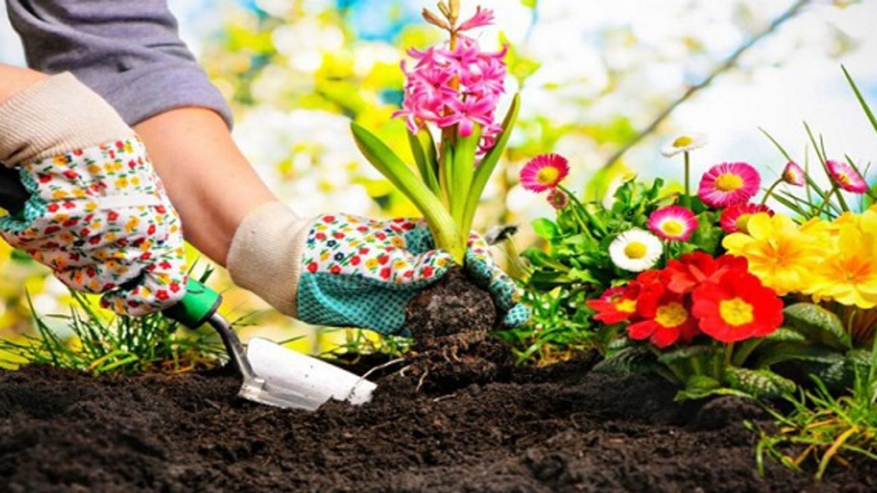 Londra'da Peyzaj Mimarlık İşleriniz Yapılır