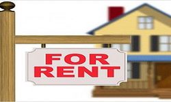 Wood Green Turnpike Lane bölgesinde çift kişilik kiralık oda!