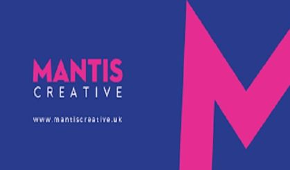 Web Design & Development