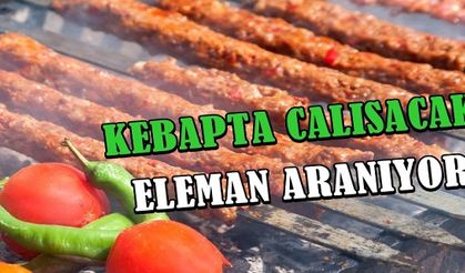 Kebab pizza dükkanında çalışacak şef yada kebap dükkanı konusunda tecrübeli eleman aranıyor.