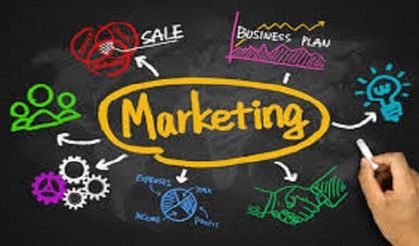 Digital marketing işinde Tecrübeli eleman aranıyor
