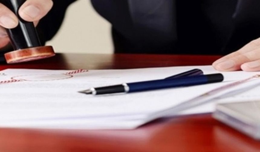 Her türlü vize işlemleri, resmi başvurular, form doldurma işlemleri yapılır