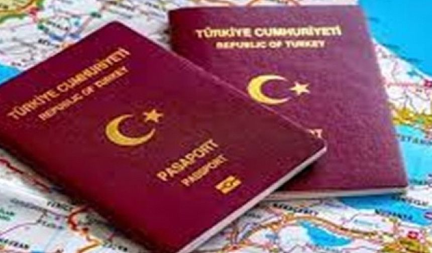 Her türlü resmi başvurular, vize işlemleri, form doldurma işlemleri yapılır