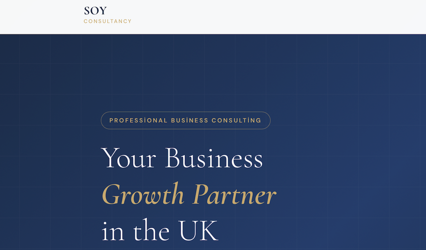 SOY CONSULTANCY, Business Consultancy Salesand Marketing Accounting & Finance